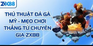 Thủ Thuật Đá Gà Mỹ - Mẹo Chơi Thắng Từ Chuyên Gia ZX88